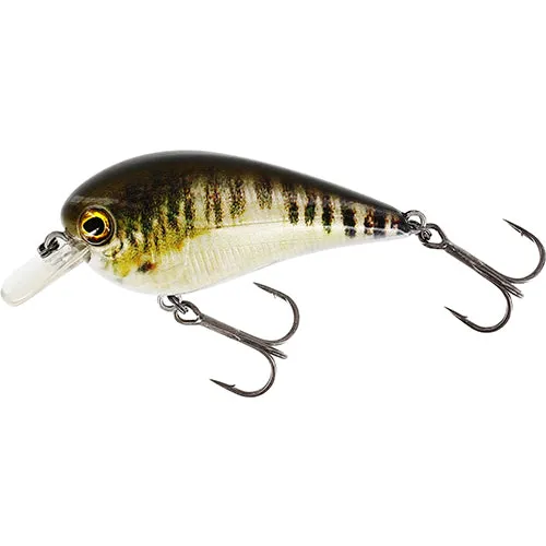Bassbite Squarebill - 6 cm