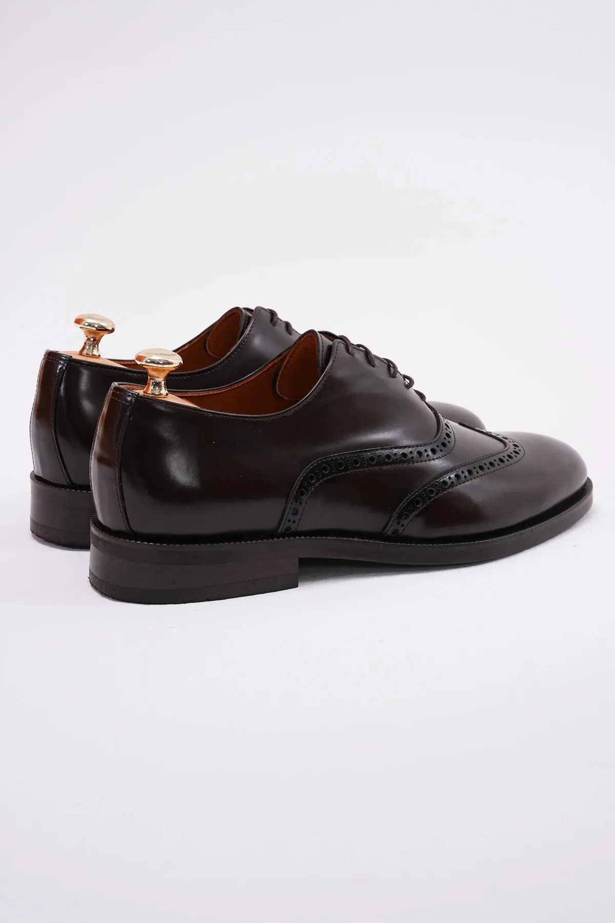 Brown Wingtip Laces Shoes