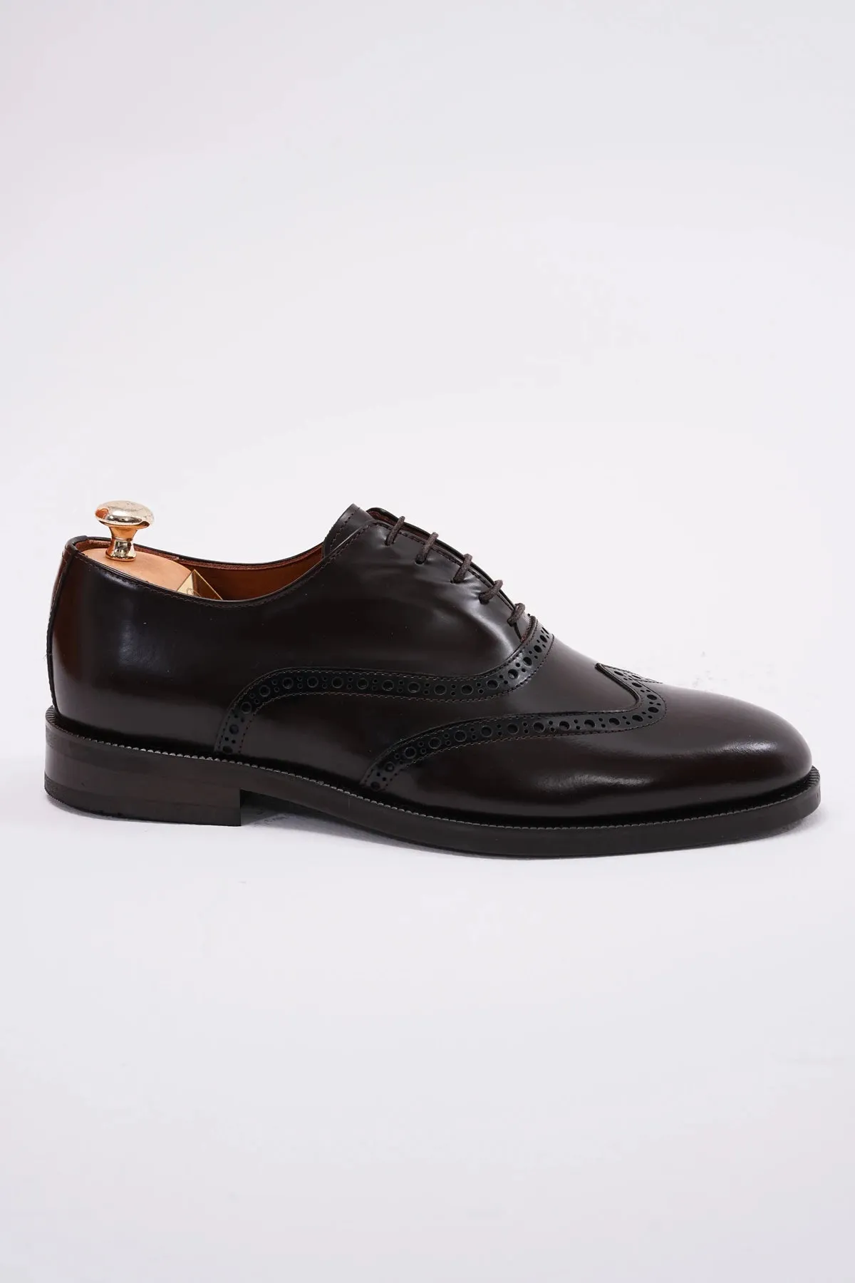 Brown Wingtip Laces Shoes