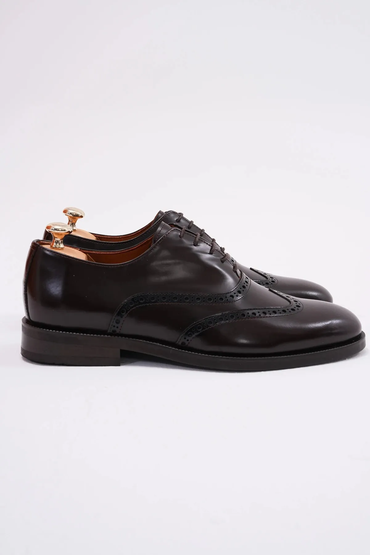 Brown Wingtip Laces Shoes