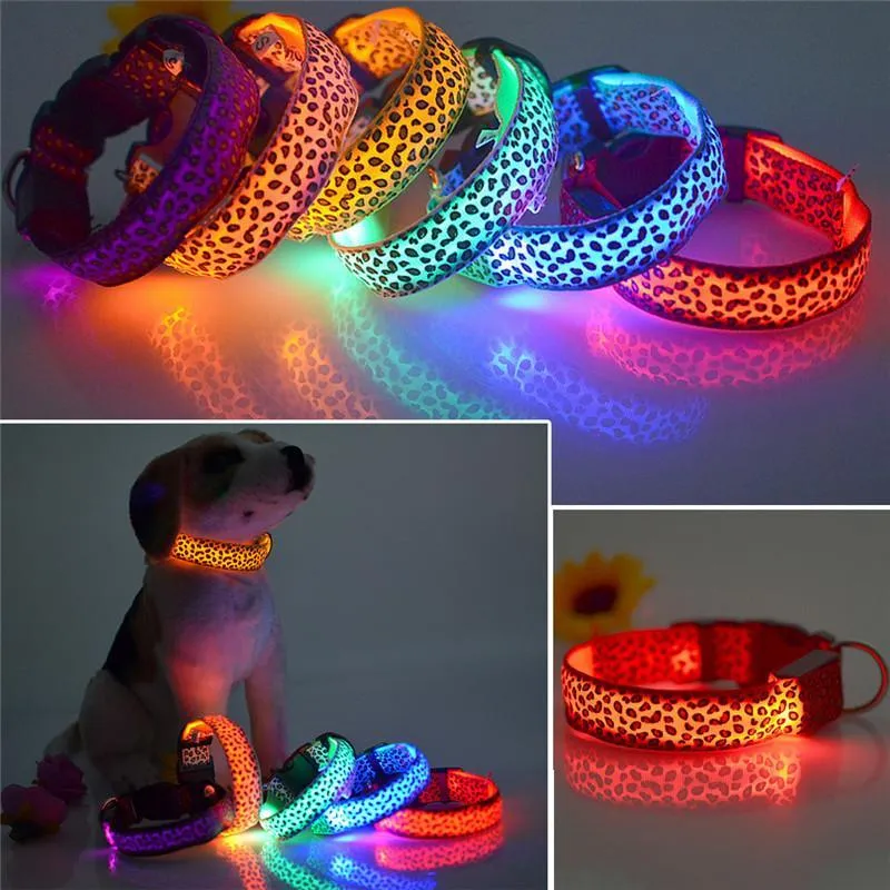 FREE Safety LED Leopard Dog Collar