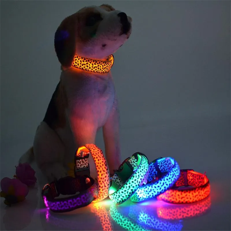 FREE Safety LED Leopard Dog Collar