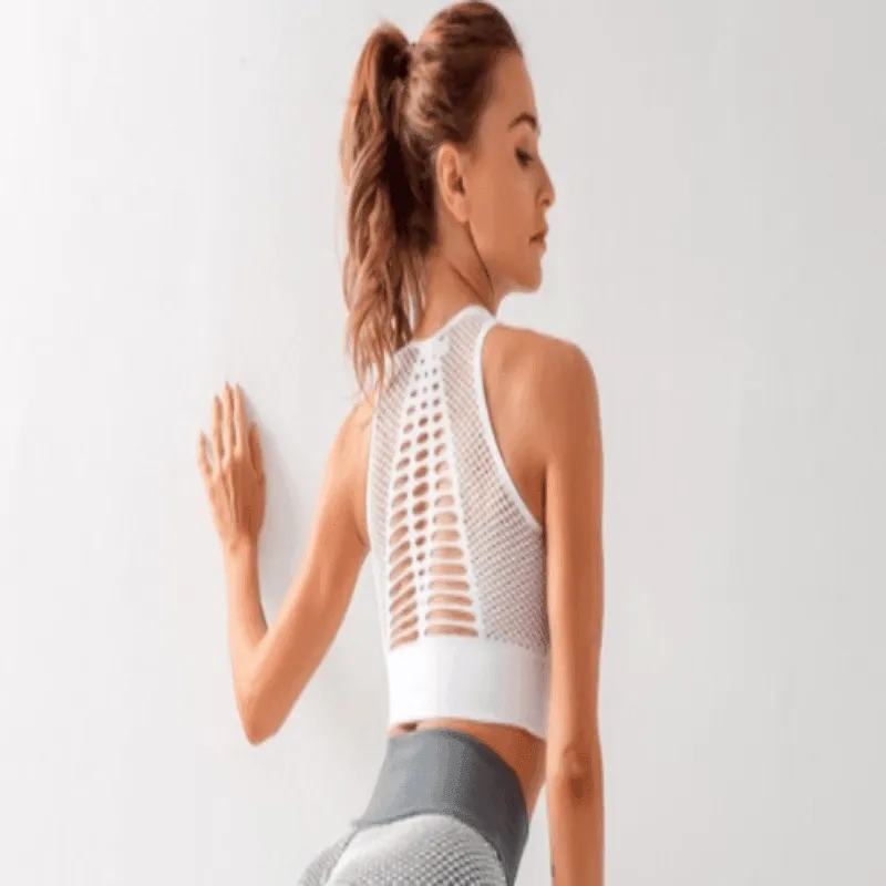 Mesh Sports Bra