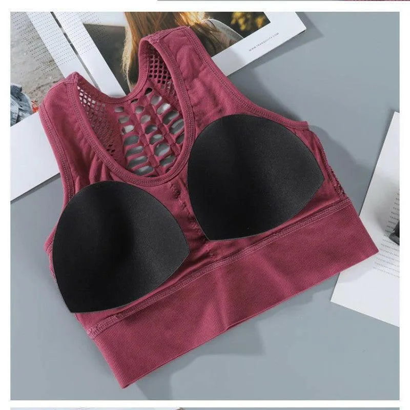 Mesh Sports Bra