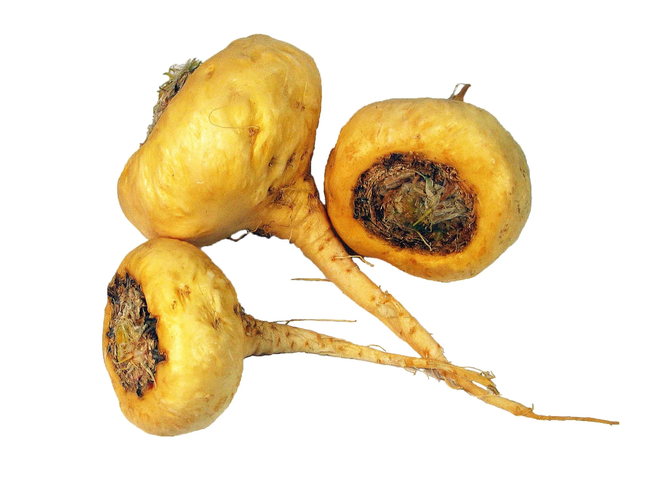 Premium Tri-Color Maca Root - Organic