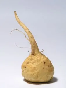 Premium Tri-Color Maca Root - Organic