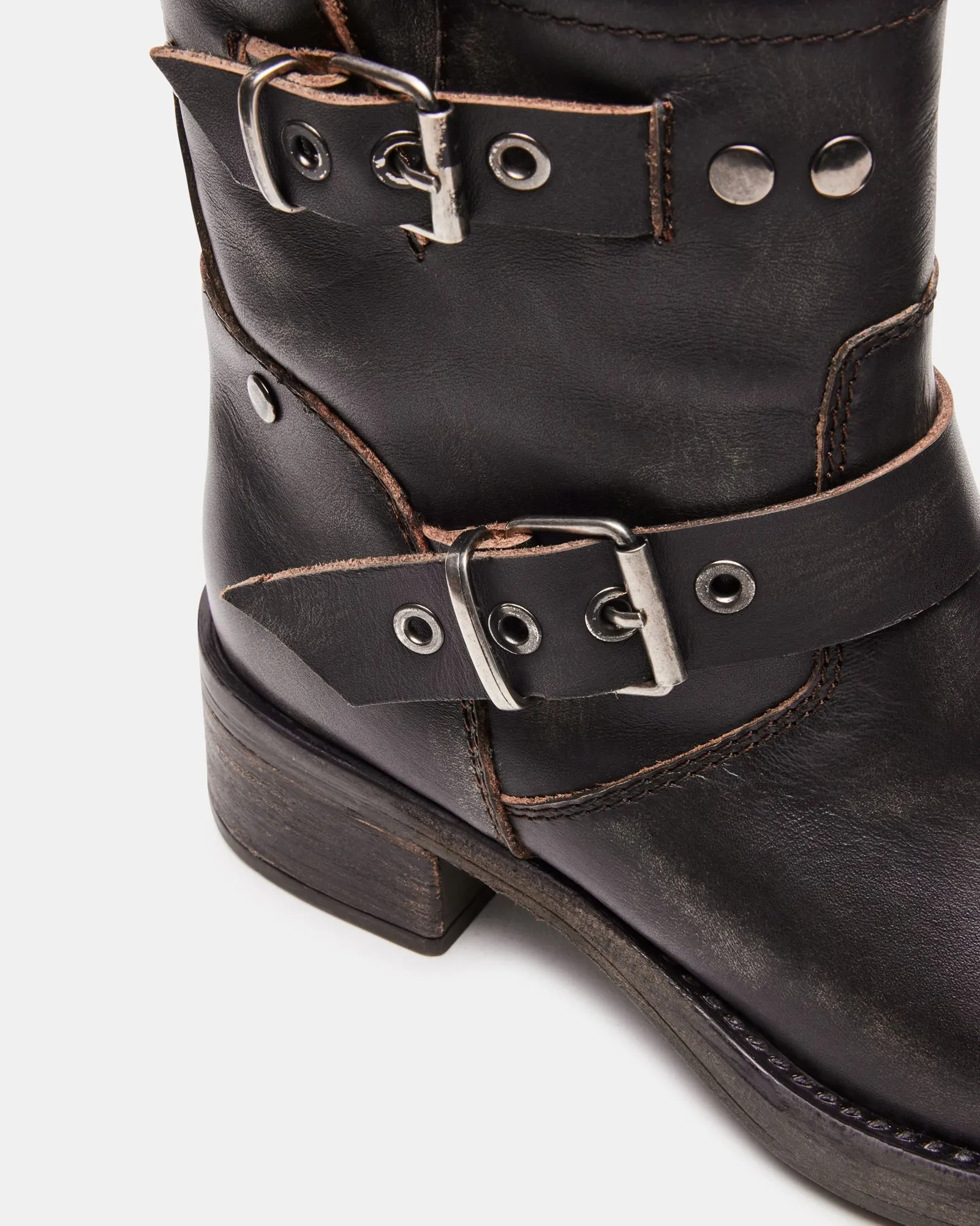 RAMPANT BROWN DISTRESSED - SM REBOOTED