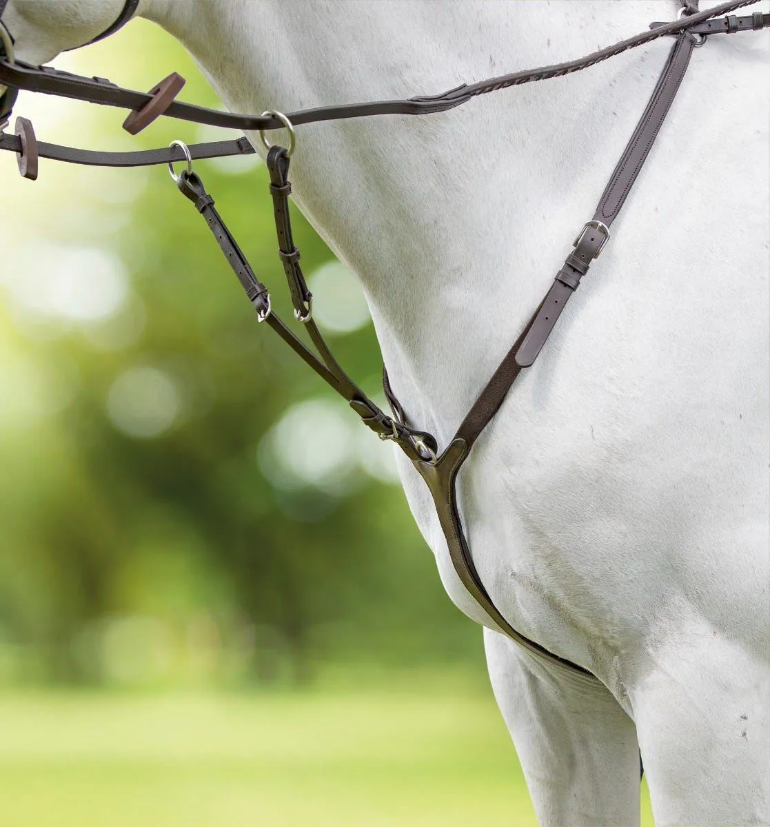 Shires Velociti RAPIDA Breasplate