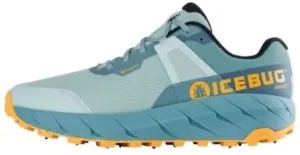 Women’s Arcus Gore-tex studded Icebug Shoe